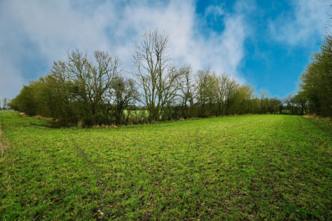 Field