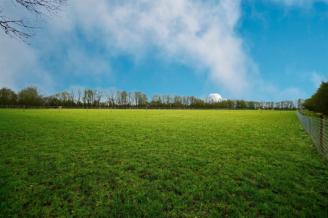 Field