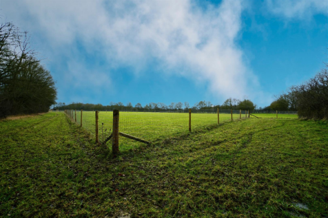 Field