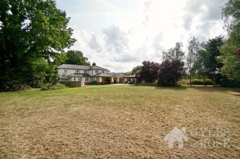 Rear of Property