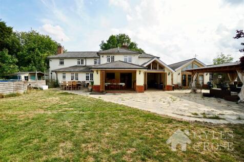 Rear of Property