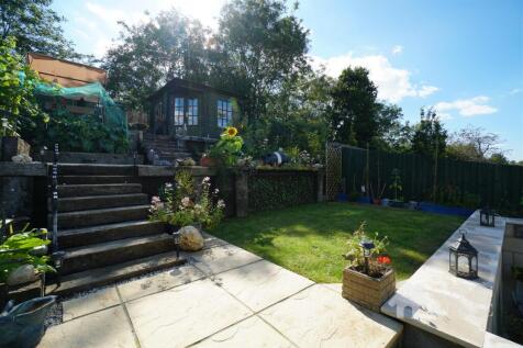 Back garden