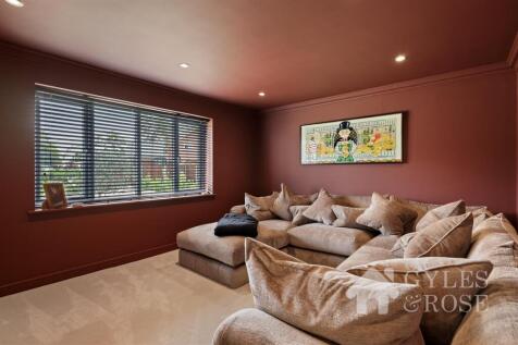Cinema/Living area