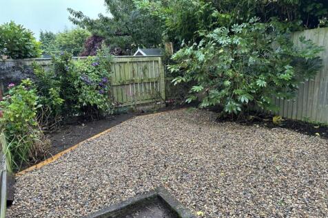 rear garden2.jpg