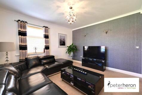 Lounge/Bedroom 4