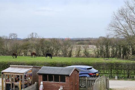38a - The Neigh...bours.jpg