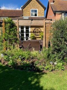 Back garden 5