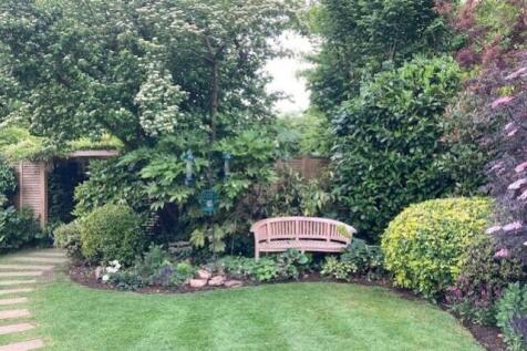 Back garden 7