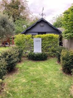 Back garden 8