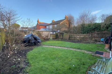 garden new