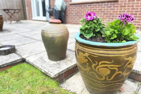 Pot Plants