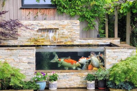 Outdoor Pond
