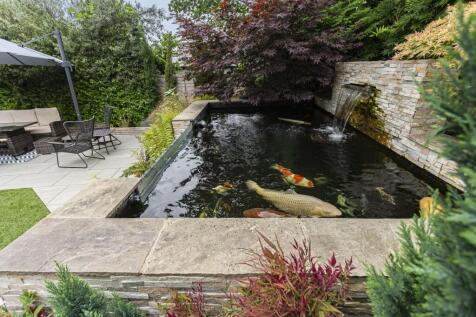 Pond 2
