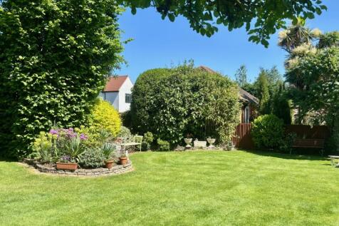 Garden 3