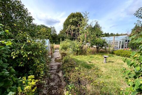 Garden 3