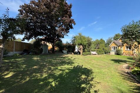 Garden 4