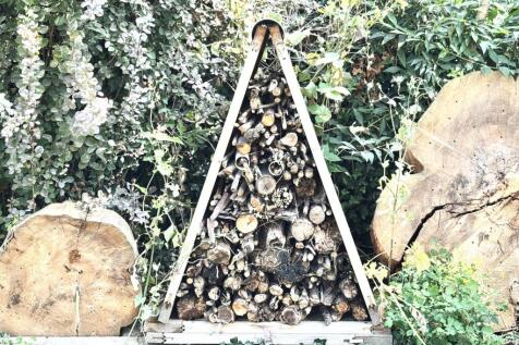 Beehive