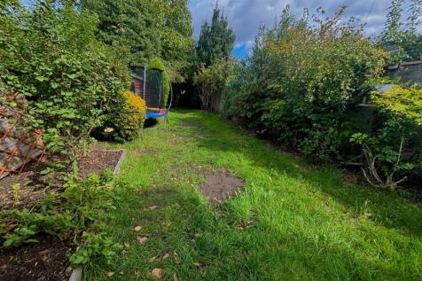 Garden 1