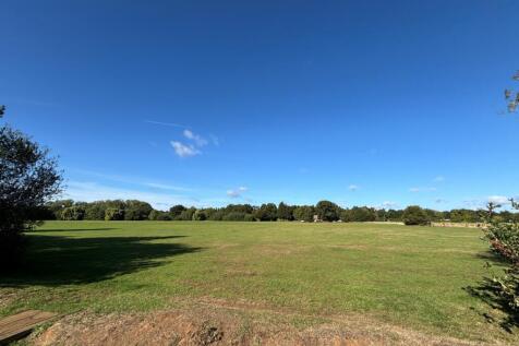 Field View