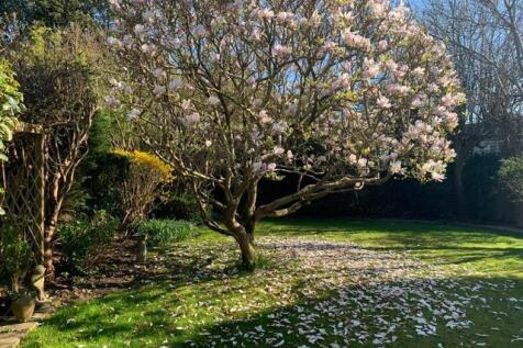 Garden in Bloom
