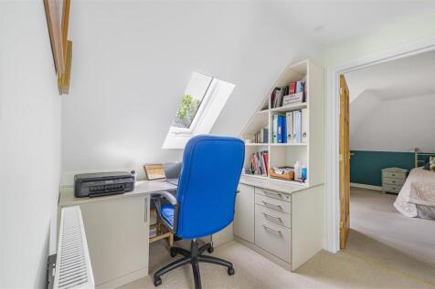 Study Area