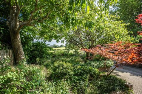Walnut Grove54.jpg