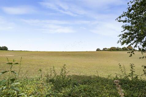 Views over the Field to the Rear