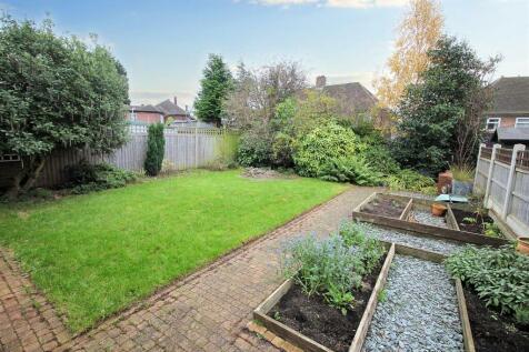 garden.jpeg