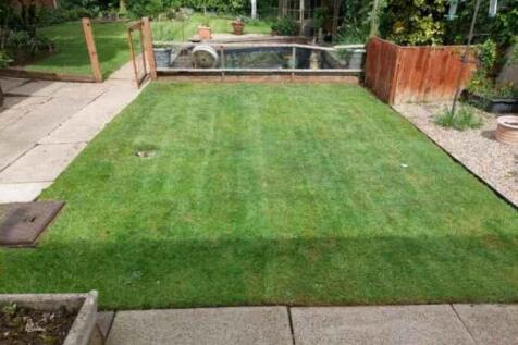28 Kimberley Road Garden 2.JPG
