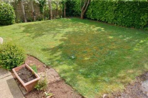 28 Kimberley Road Garden 3.JPG