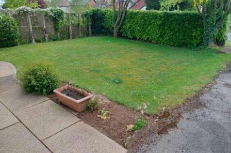 28 Kimberley Road Garden 4.JPG
