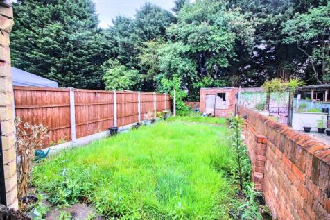 garden.jpeg