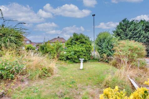 Garden_ (1).jpeg