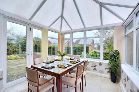 AI Conservatory.jpeg