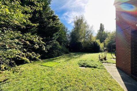 garden 1.jpg
