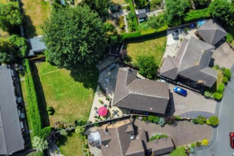 Drone Shot of the Whole Plot