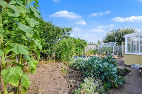 Garden_4.jpeg