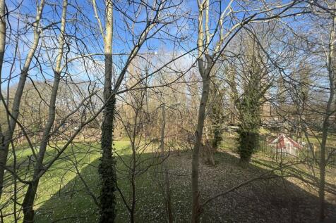 View From Bedroom