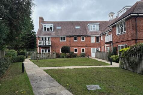 Rear gardens to the conifers.jpeg