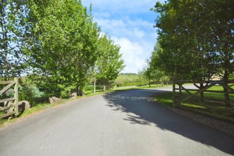 DRIVEWAY.jpg