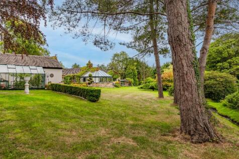 Property Image 55