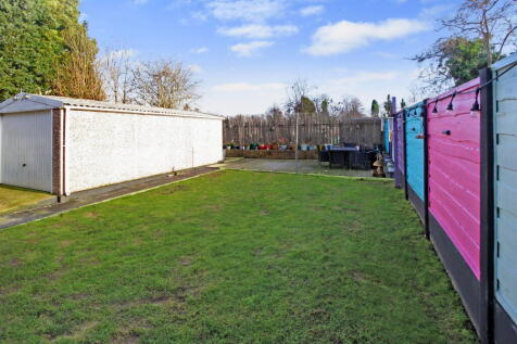 garden one_1738167125190