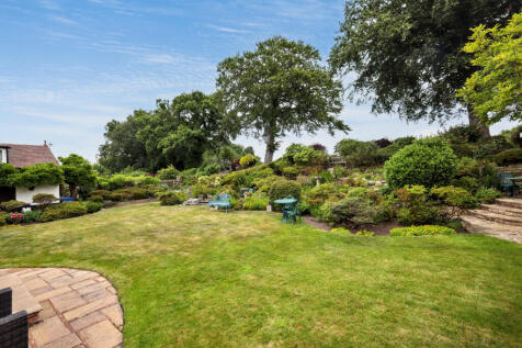 garden.JPG