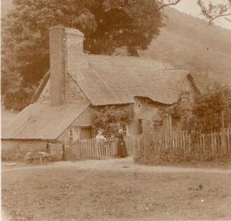 Picture No. 36