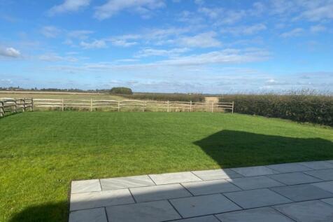 rear garden.jpg