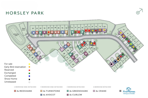 Site Plan.png
