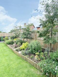 garden 2.jpg