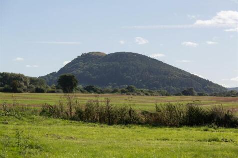 View.jpg
