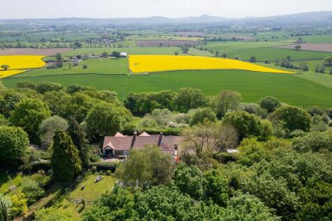 010_DJI_0628.jpg