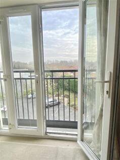 IMG_7965.jpeg